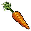 Carrot